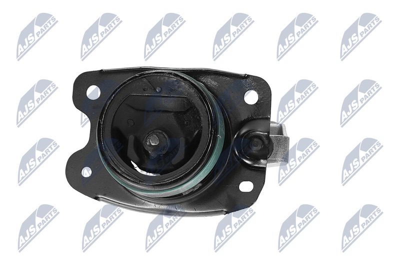 Paigutus, Mootor, NTY ZPS-CH-147