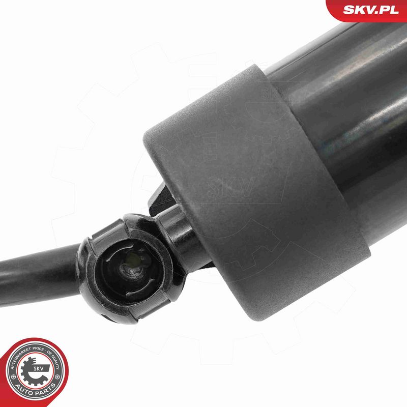ESEN SKV 52SKV169 Electric Motor, tailgate