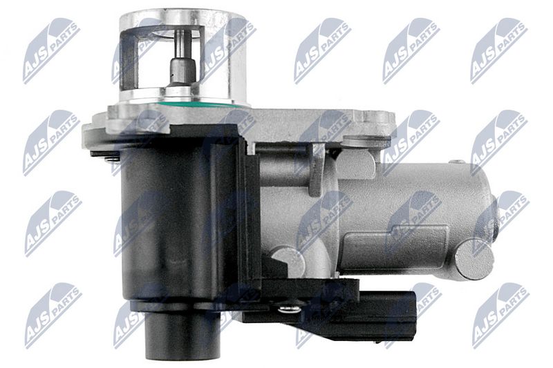 egr-vw-005_3-wm.JPG