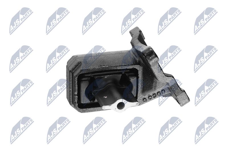 Paigutus, Mootor, NTY ZPS-CH-030