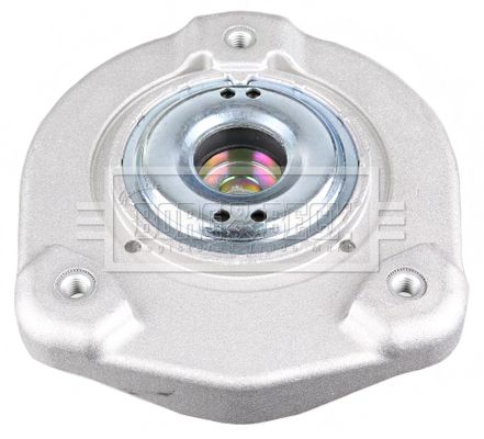 BSM5536_3194104.JPG