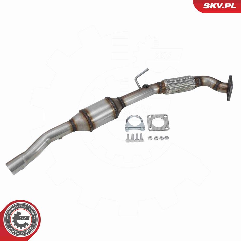 ESEN SKV 62SKV173 Catalytic Converter