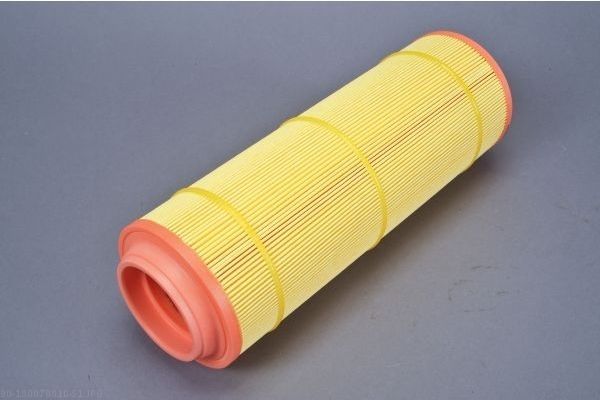 AUTOMEGA 180070810 Air Filter