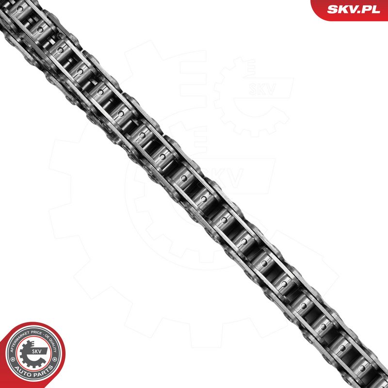 Mootori keti komplekt, ESEN SKV 21SKV275