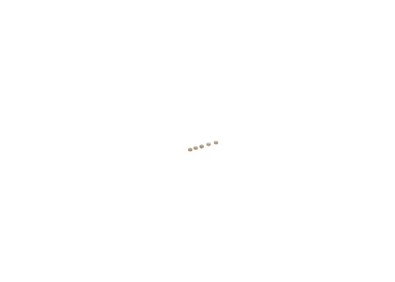 BOSCH F00ZC99726 Repair Kit, common rail system