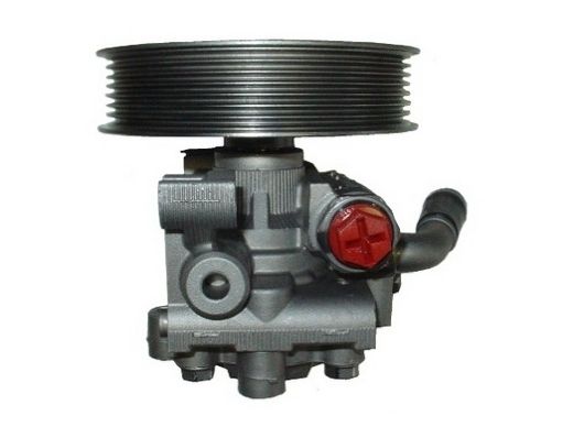 SPIDAN 54412 Hydraulic Pump, steering