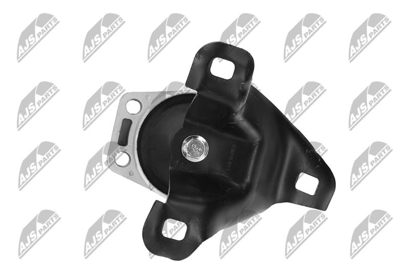 Paigutus, Mootor, NTY ZPS-FR-011