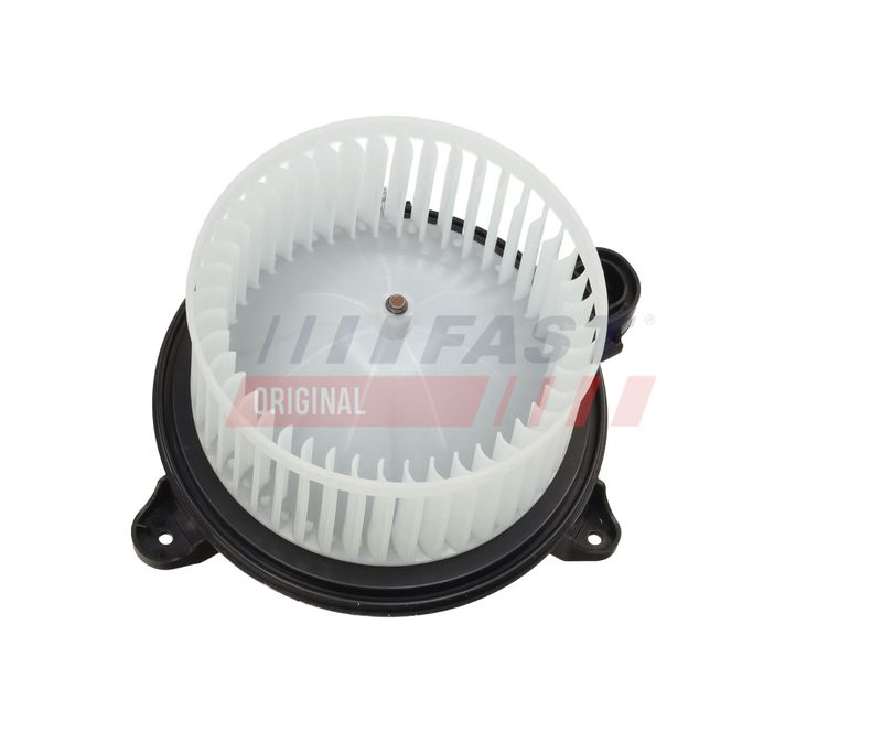Salongipuhur, FAST FT13810