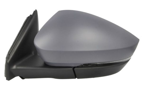 BLIC 5402-43-1926324P Exterior Mirror