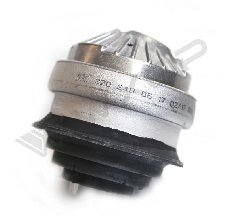 WXQP 180581 Variklio pagalvė