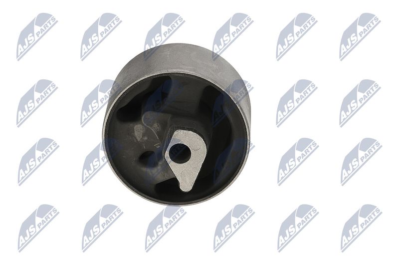 Paigutus, Mootor, NTY ZPS-CH-040