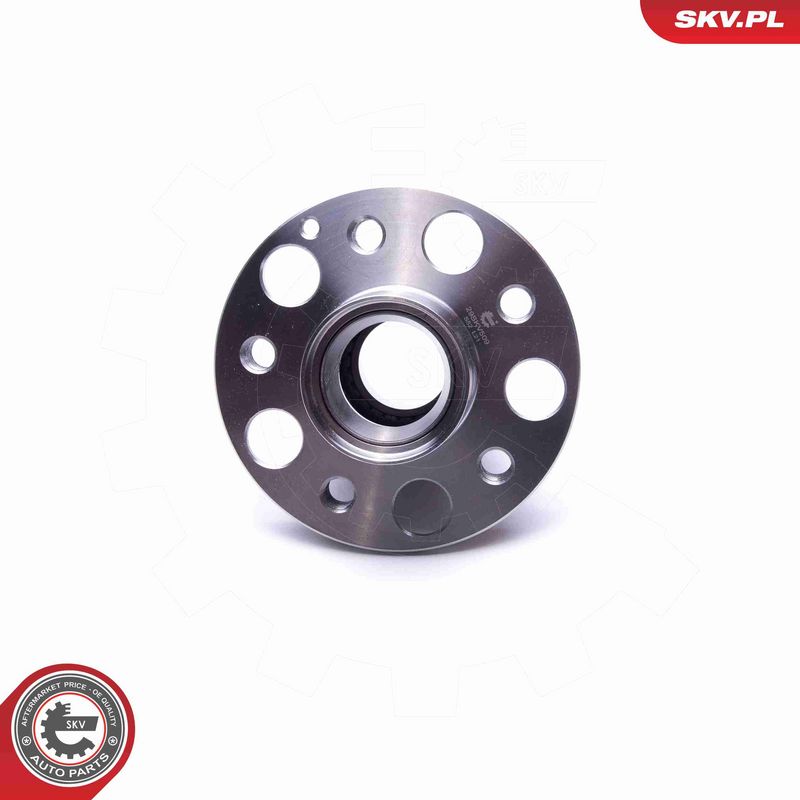 ESEN SKV 29SKV509 Wheel Bearing Kit