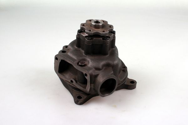 P1368.JPG