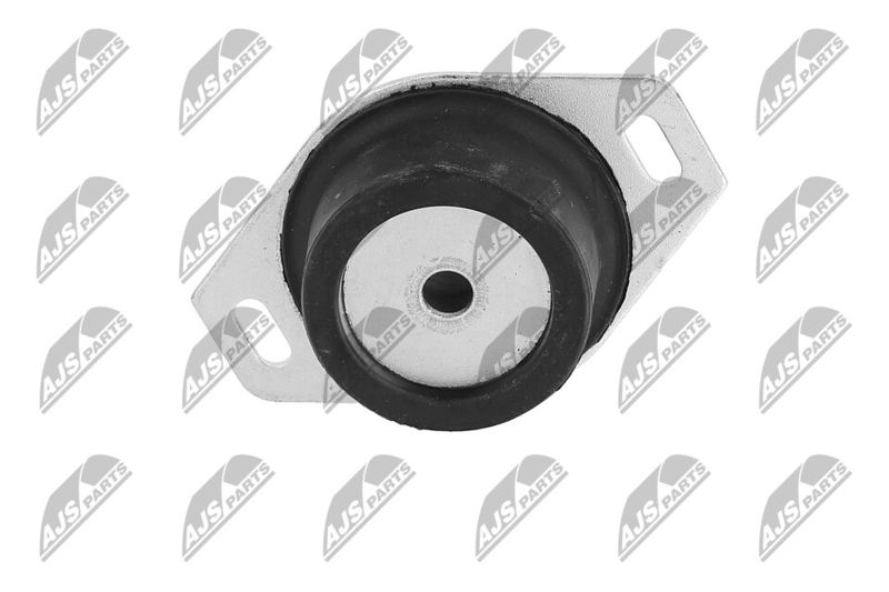 Paigutus, Mootor, NTY ZPS-PE-009