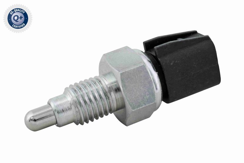 V40-73-0079_05.JPG