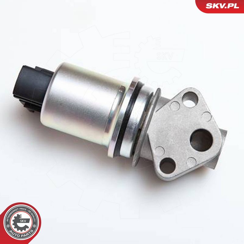 ESEN SKV 14SKV029 EGR Valve