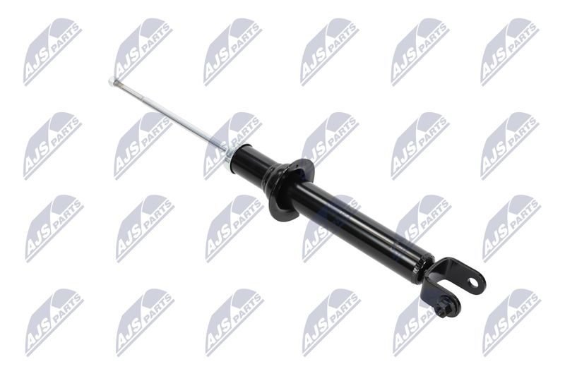 Amort, NTY A-CH-055