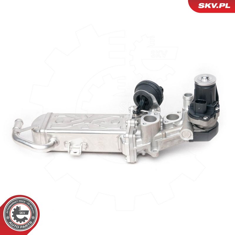 EGR-klapp, ESEN SKV 14SKV094