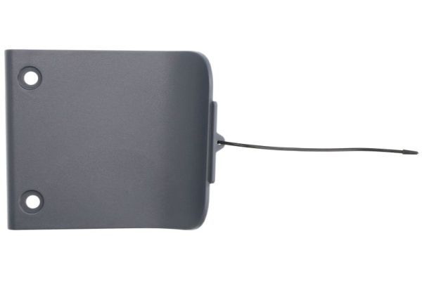 Türschwellen - Trittbrett