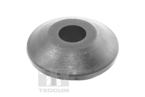 TED40184.JPG