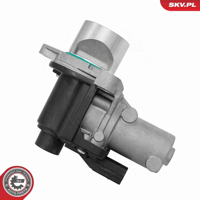 ESEN SKV 14SKV322 EGR Valve