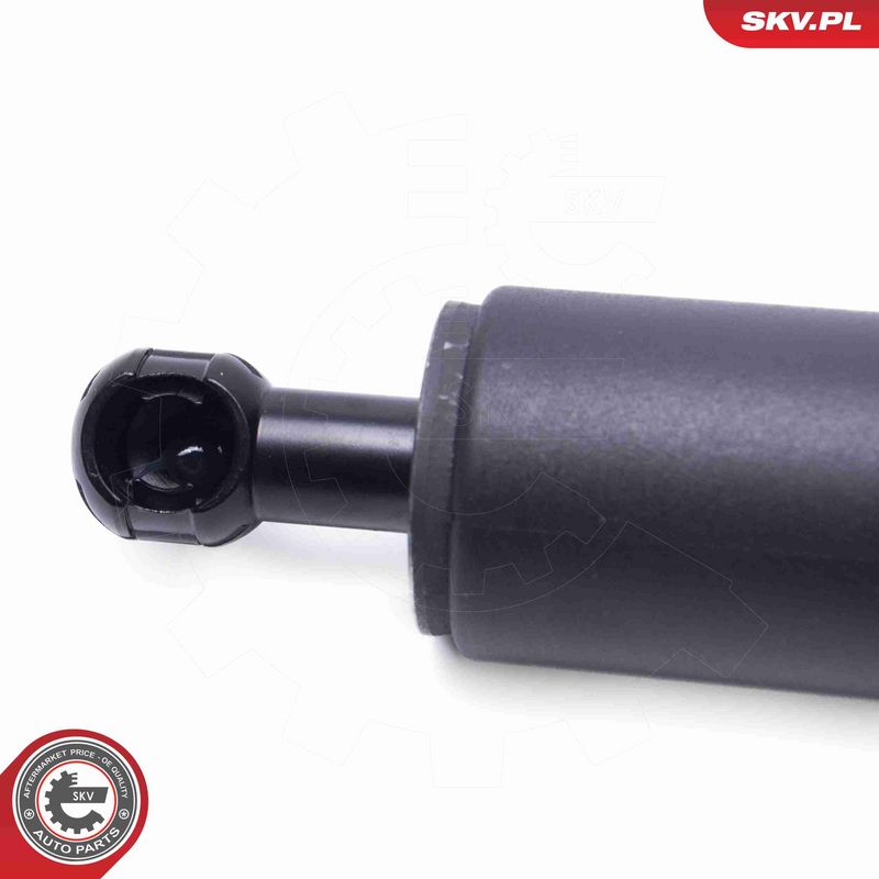 ESEN SKV 52SKV949 Electric Motor, tailgate