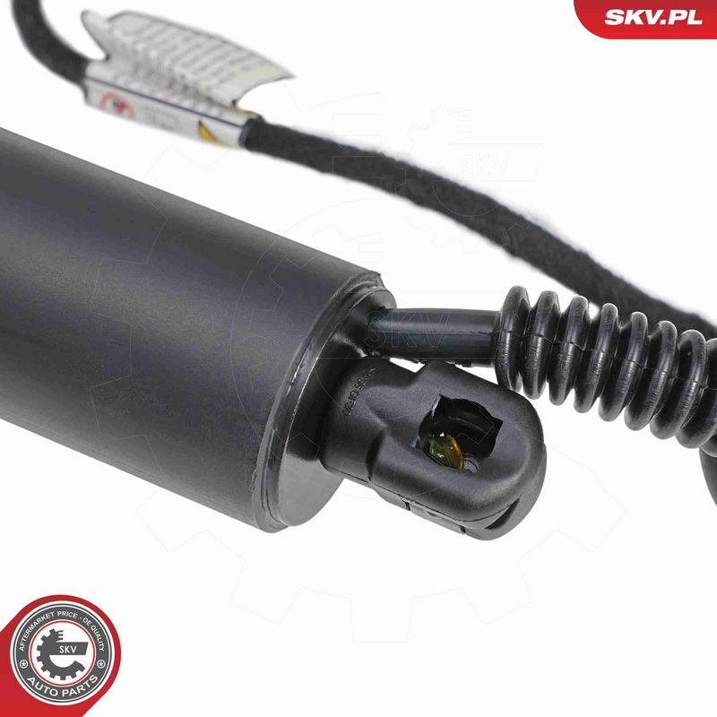 ESEN SKV 52SKV880 Electric Motor, tailgate