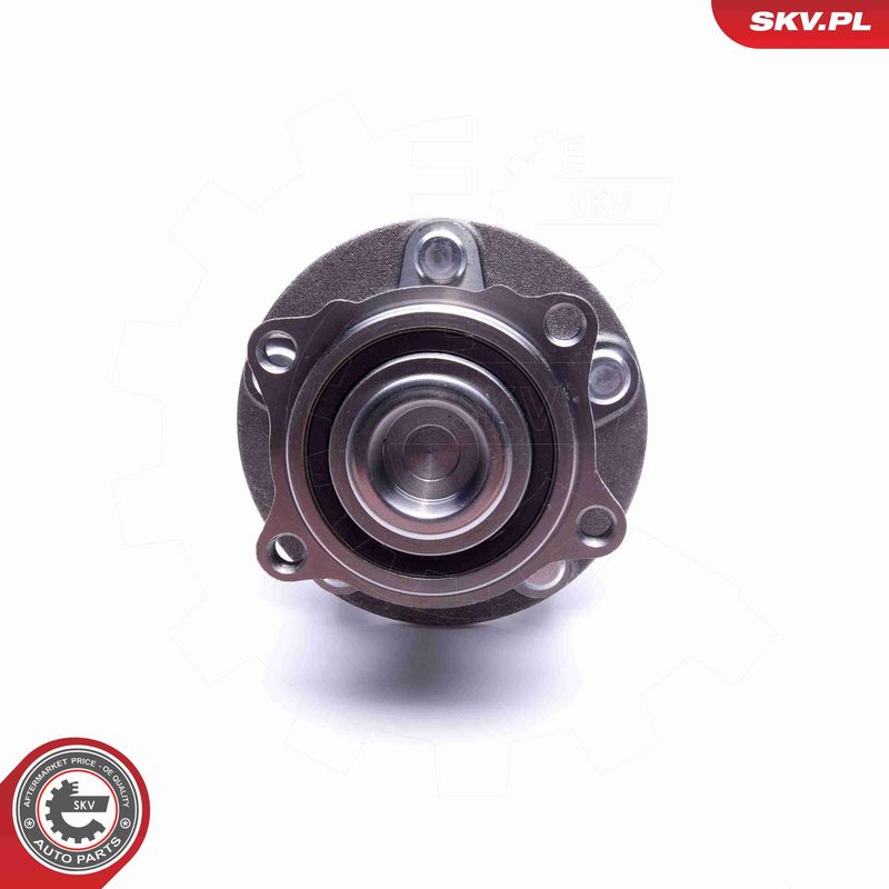 ESEN SKV 29SKV513 Wheel Bearing Kit