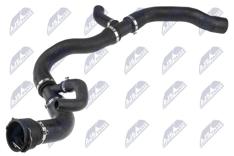 CPP-VV-006_1-WM.JPG