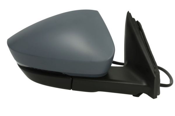 BLIC 5402-43-1926315P Exterior Mirror