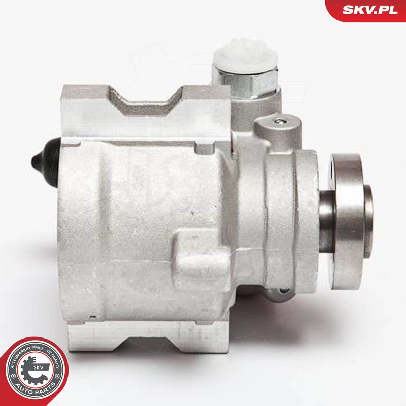 ESEN SKV 10SKV089 Hydraulic Pump, steering