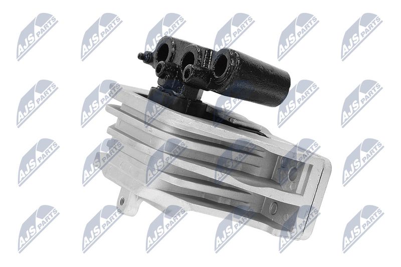 Paigutus, Mootor, NTY ZPS-CH-103