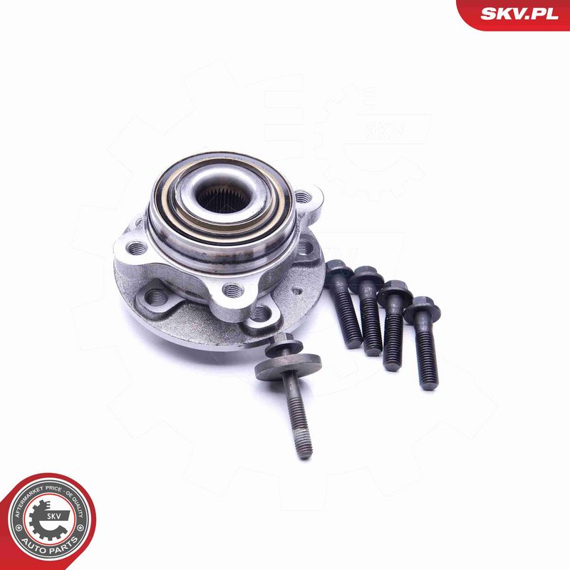 ESEN SKV 29SKV263 Wheel Bearing Kit