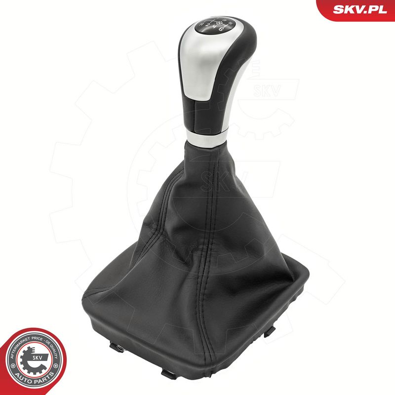 Käigukanginupp, ESEN SKV...