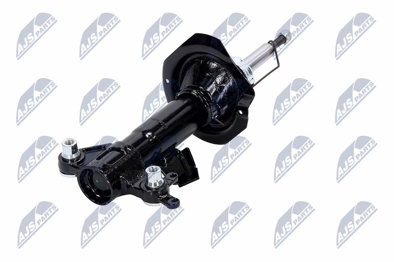 Amort, NTY A-NS-016