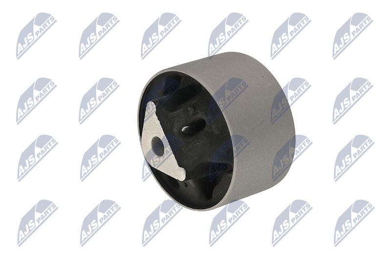 Paigutus, Mootor, NTY ZPS-CH-039