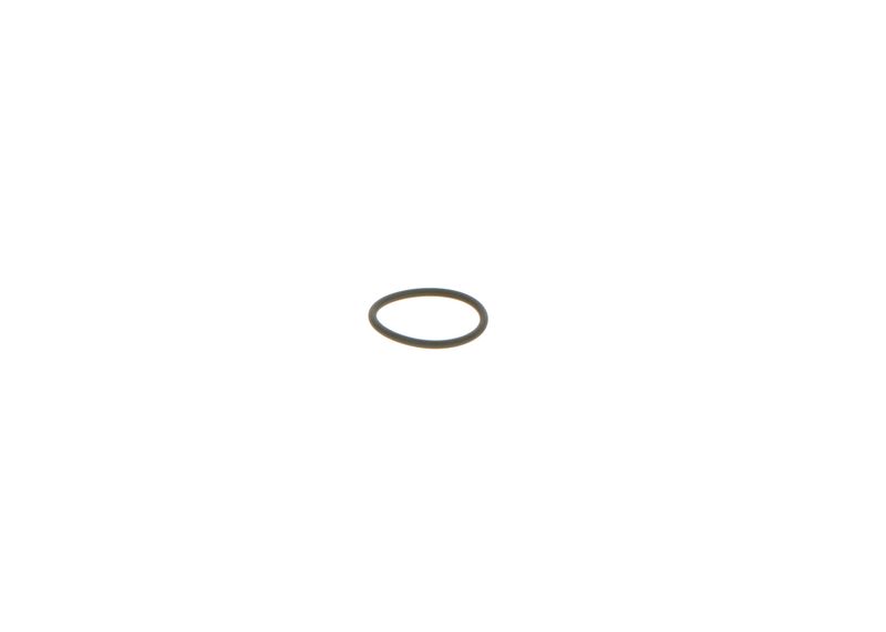 BOSCH 1928300277 Rubber Ring