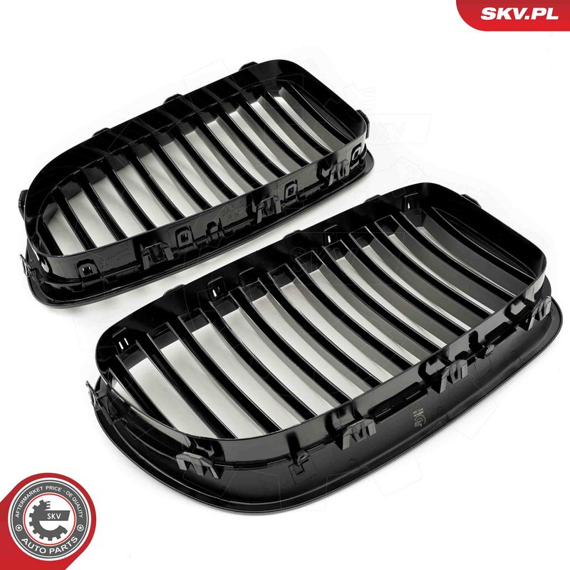 Radiaatorivõre, ESEN SKV 66SKV179