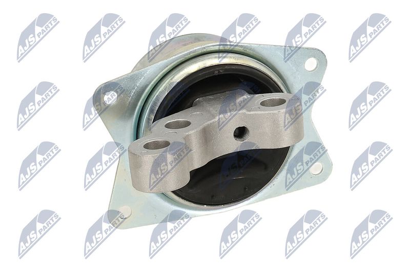 Paigutus, Mootor, NTY ZPS-PL-049