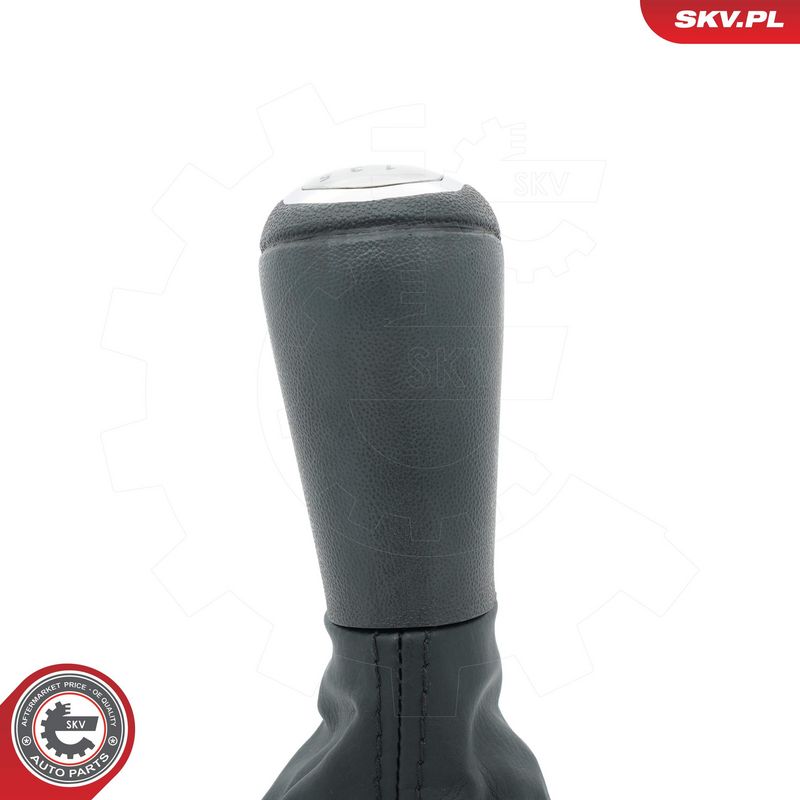 Käigukanginupp, ESEN SKV 63SKV451