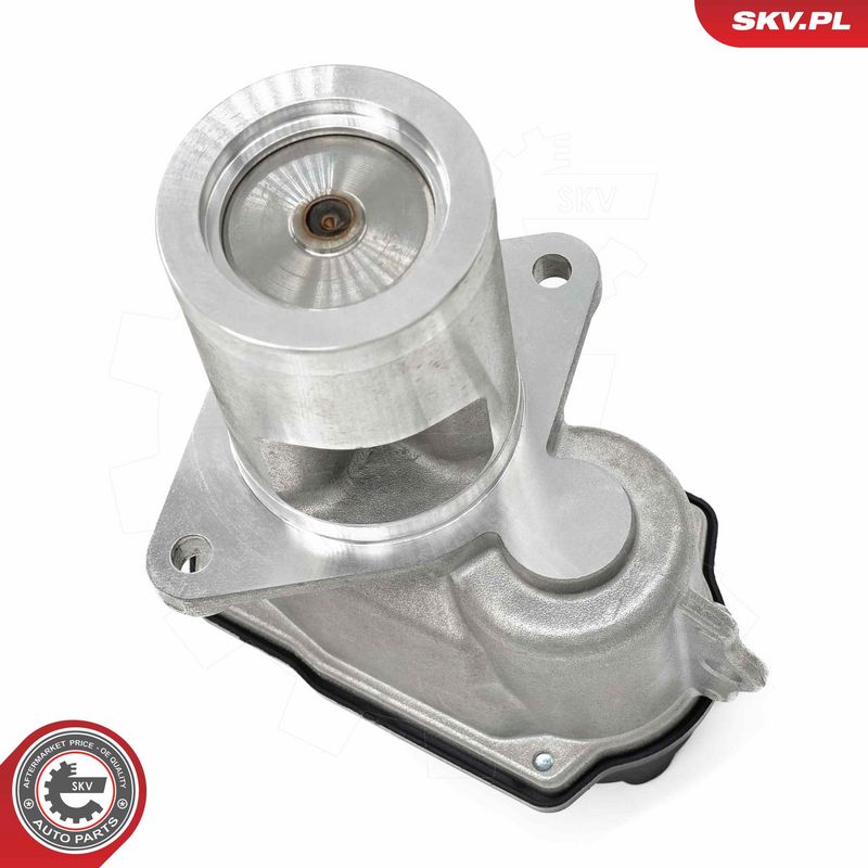 EGR-klapp, ESEN SKV 14SKV274