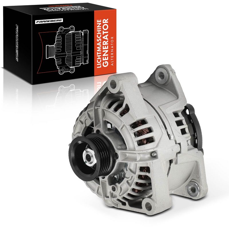 Frankberg 5481FB0029667 Alternator