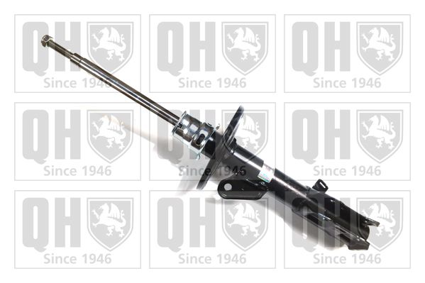 QH_QAG878050.JPG