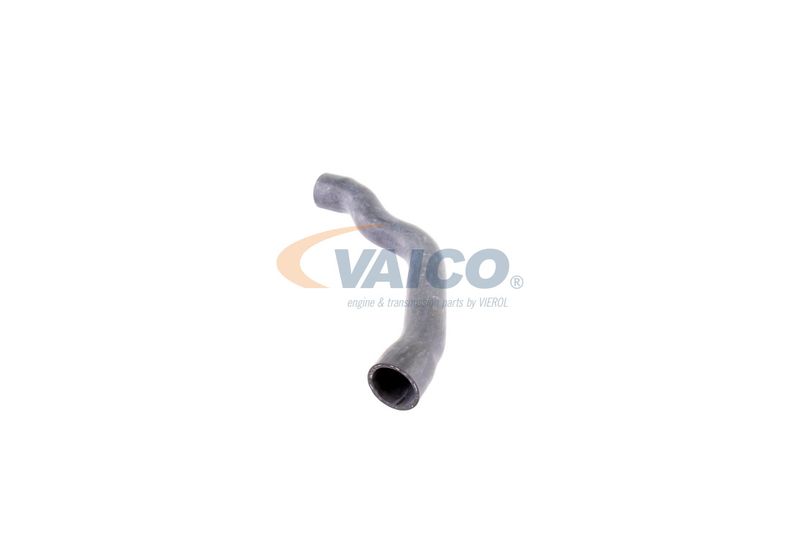 VAICO V30-2099 Radiator Hose
