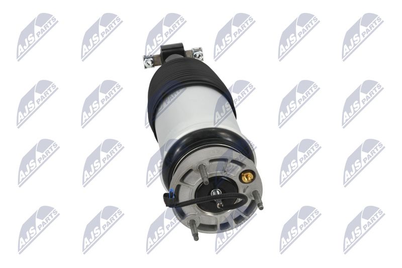 Amort, NTY A-CH-098