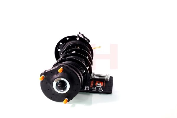 Vedruamort, GH GH-352388C01