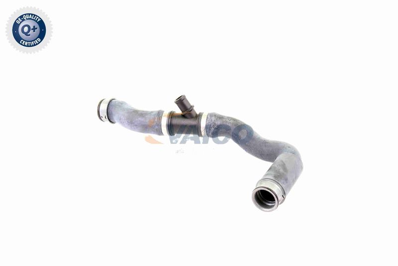 VAICO V30-2222 Radiator Hose