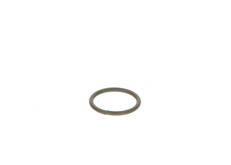 BOSCH F 00V C23 002 Seal Ring