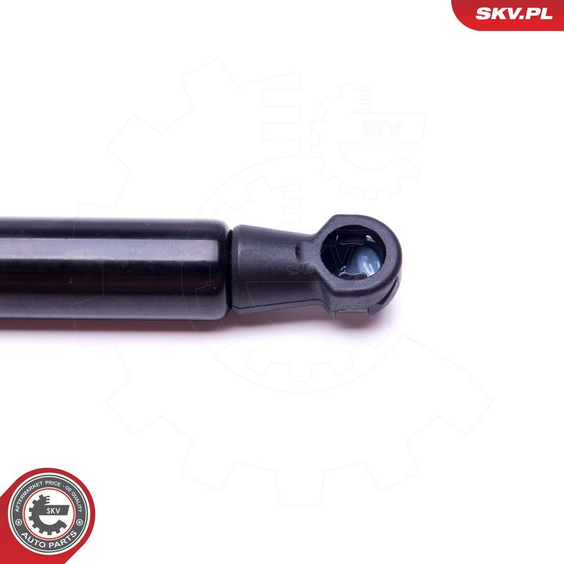 Gaasivedru, pagasi-, veoruum, ESEN SKV 52SKV545