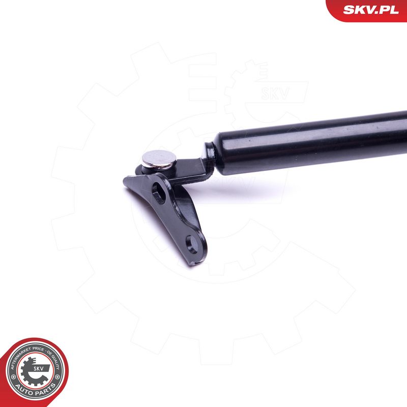 Gaasivedru, pagasi-, veoruum, ESEN SKV 52SKV555